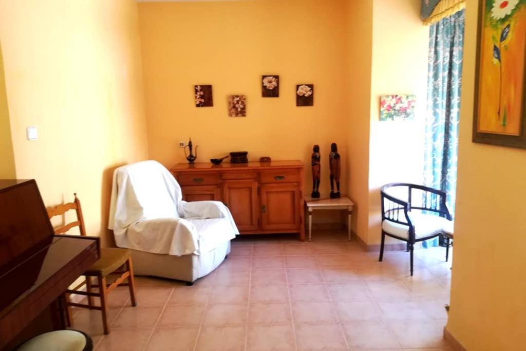 Bonito Apartamento Centro Onil Exterior foto